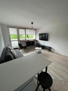City Center Apartment